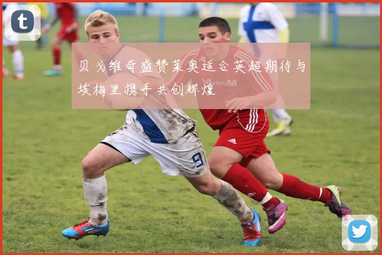 贝戈维奇盛赞莱奥适合英超期待与埃梅里携手共创辉煌
